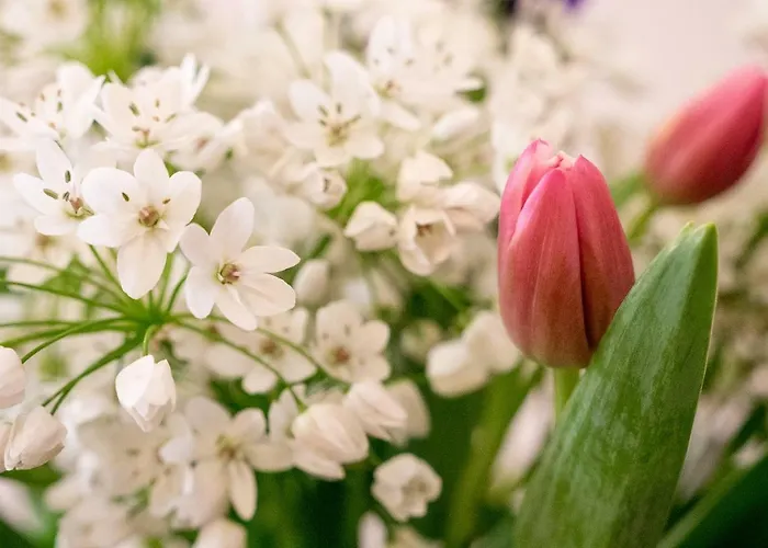 Bed and Breakfast Campo Marzio Charming Roma